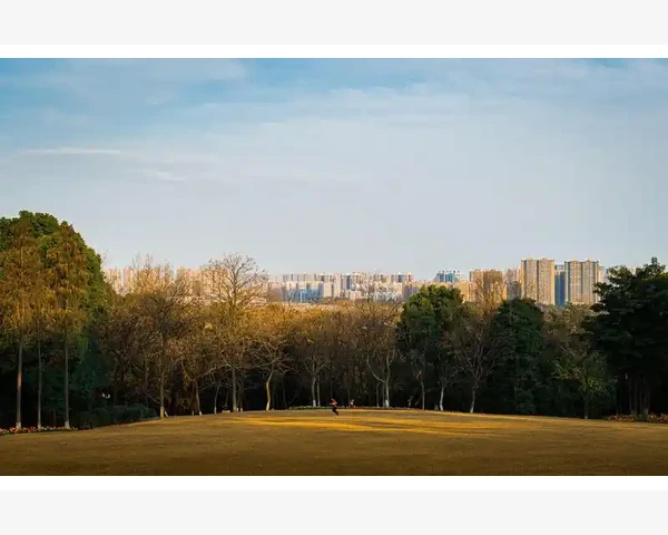 阴虚火旺脾胃虚的食疗调理之道